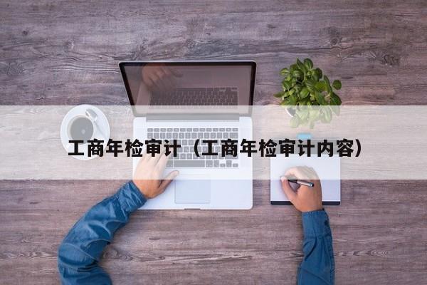 工商年检审计（工商年检审计内容）